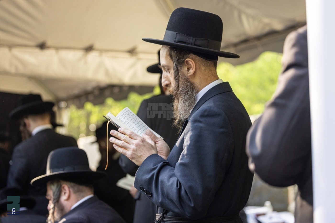 Blog Image