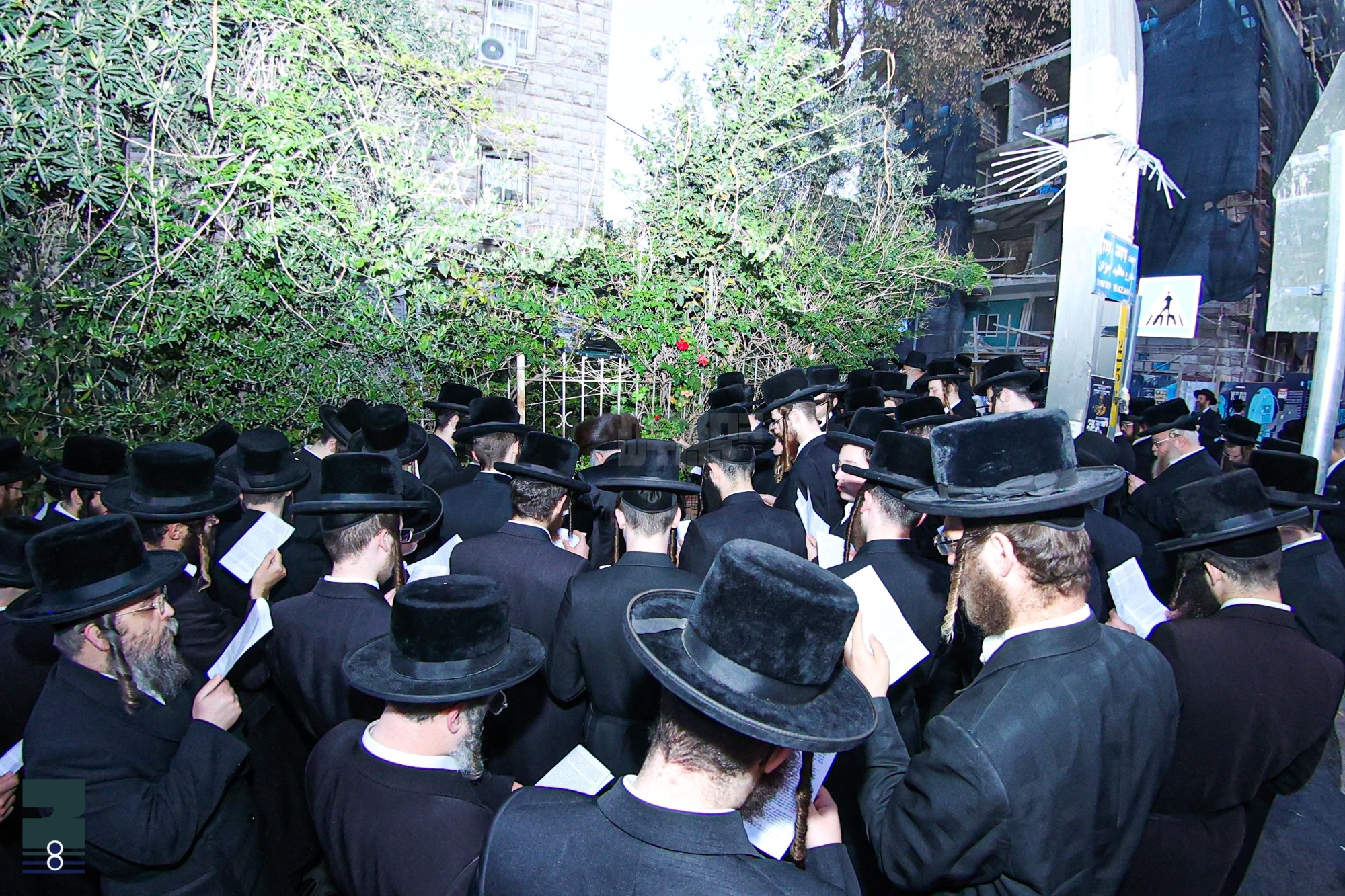 Blog Image