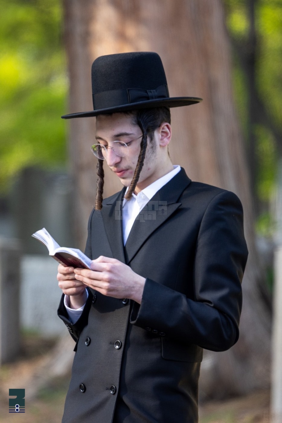 Blog Image