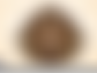 ממנו תצא תורה: היסטארישע הכנסת ספר תורה פון האד' מסאטמאר באשטימט אויף ל"ג בעומר הבעל"ט