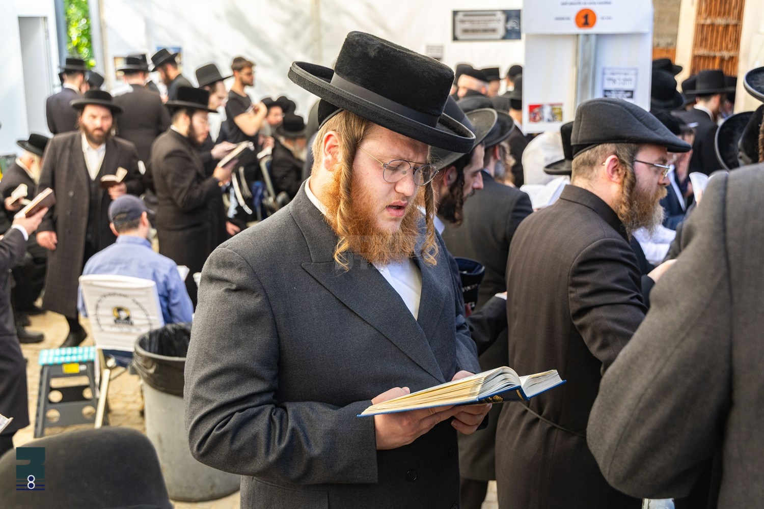 Blog Image