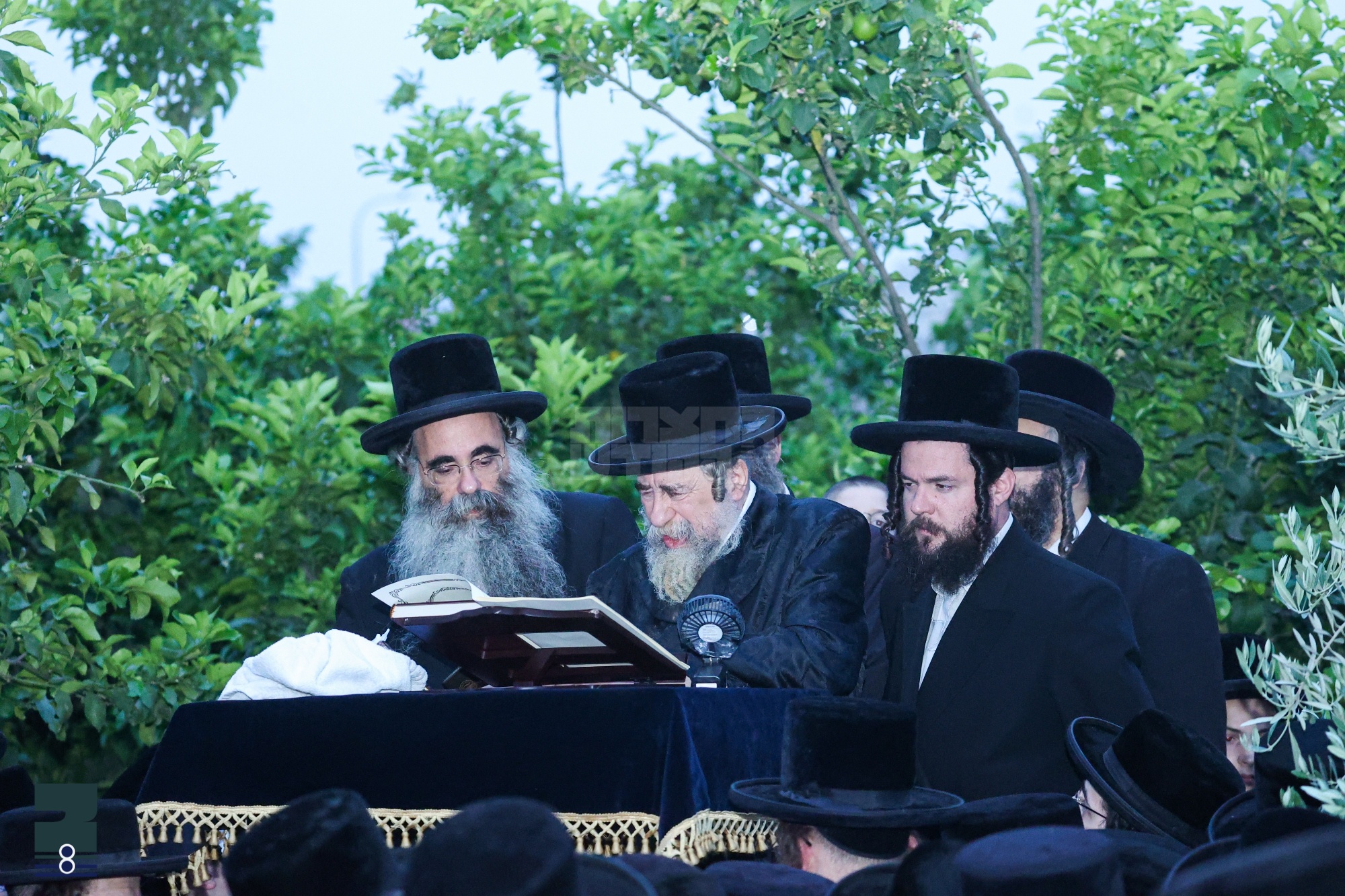 Blog Image