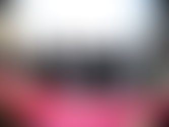 ירושלים: פילע גדולי ישראל ביי מעמד החומש סעודה אין תלמוד תורה "זרע קודש" על טהרת הקודש