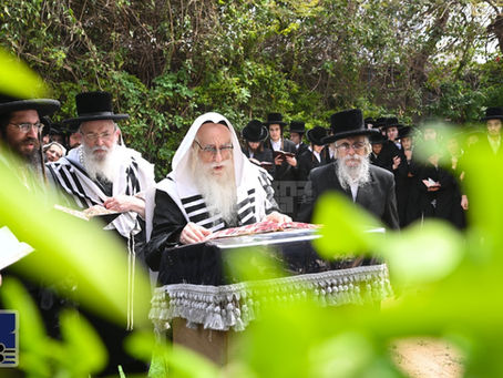 לֵיהָנוֹת בָּהֶם בְּנֵי אָדָם • האד' מצאנז ביי ברכת האילנות