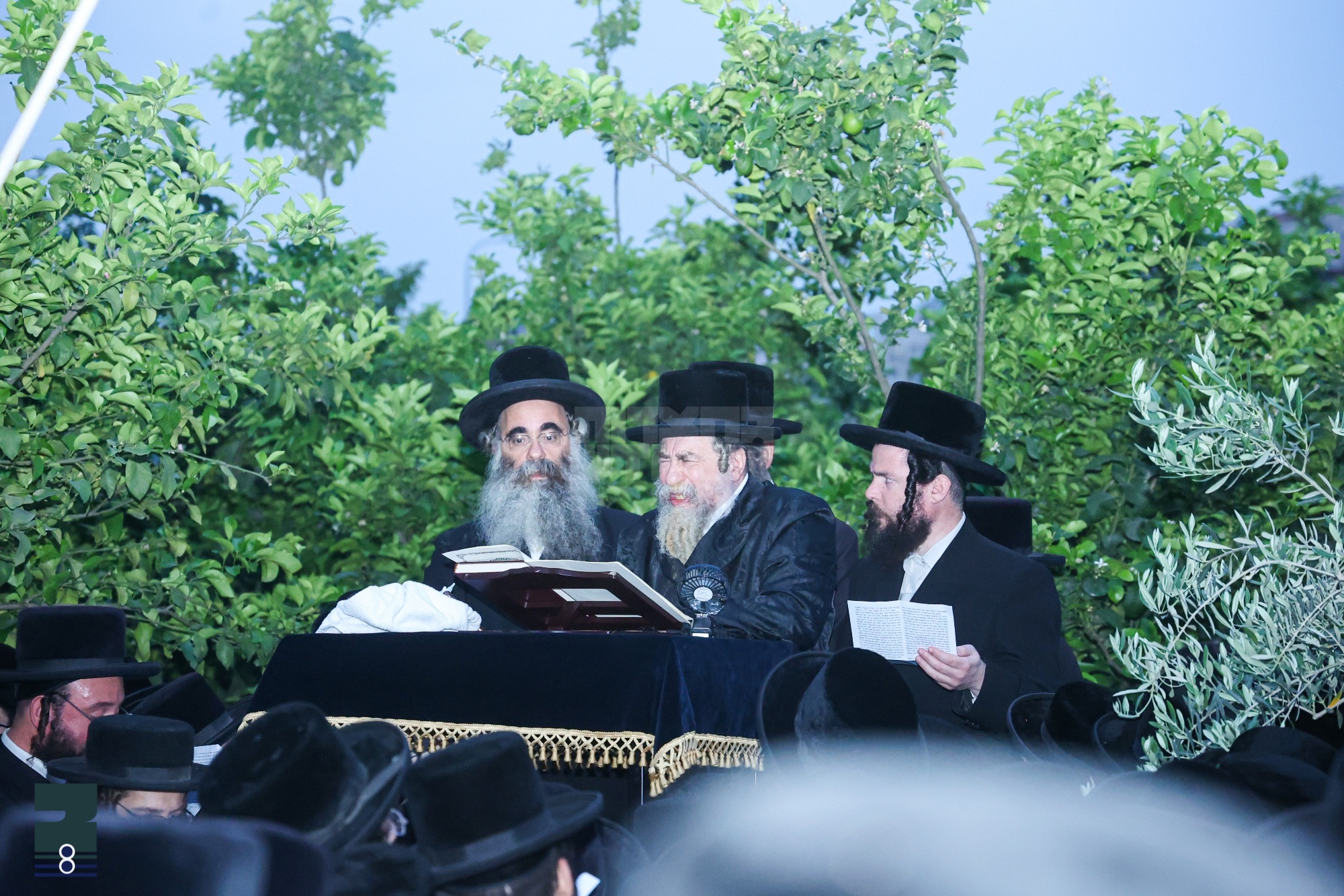 Blog Image