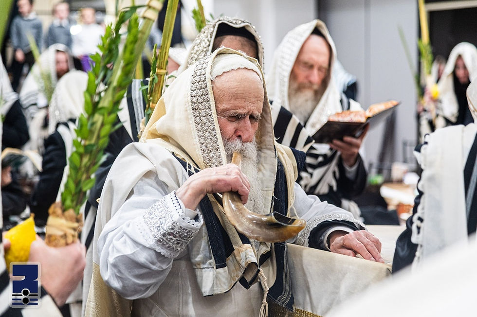 וְשָׂמַחְתָּ בְּחַגֶּךָ • יום טוב סוכות בחצר הקודש בית חיים יהושע