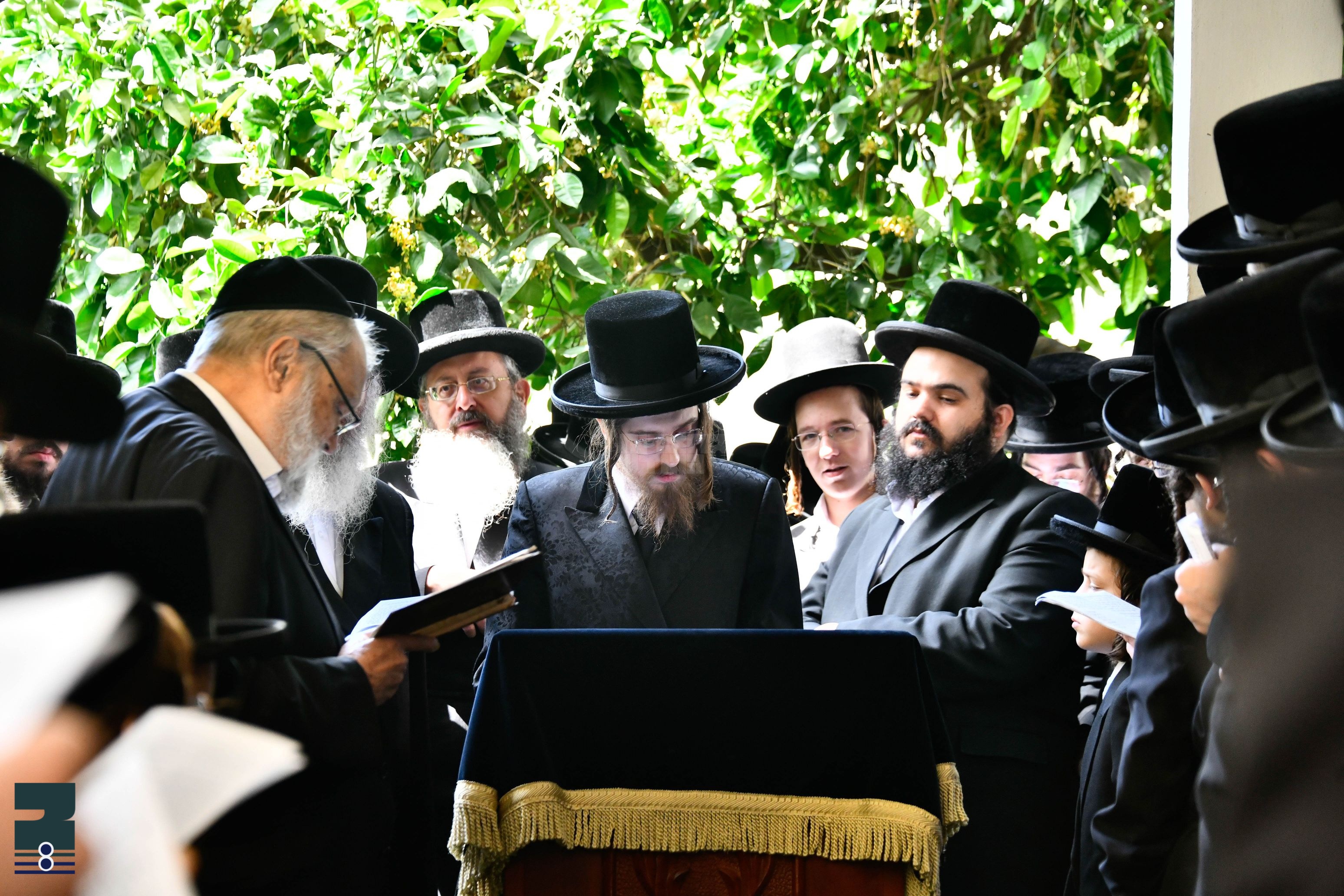 Blog Image