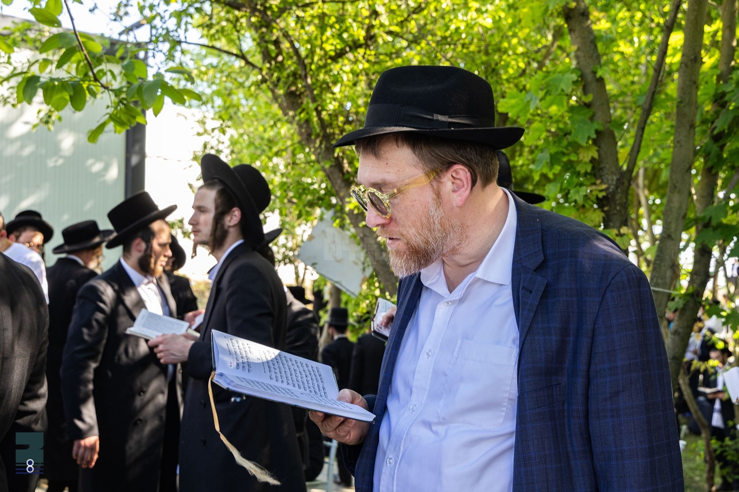 Blog Image