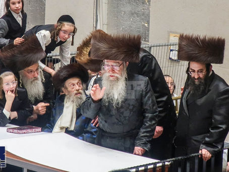 אנטווערפען: יום טוב פסח בחצר הקודש פשעווארסק