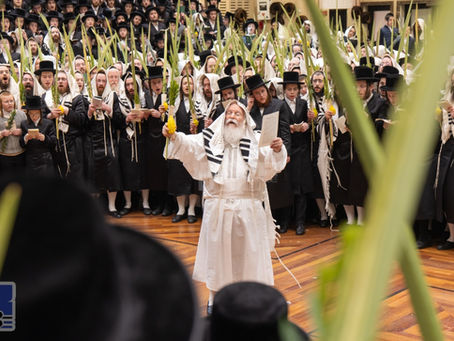 געהויבענע און פייערליכע יו"ט סוכות זמן שמחתינו אריבער אין חצר הקודש באבוב