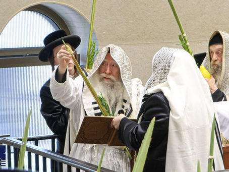 וּלְקַחְתֶּם לָכֶם • חג הסוכות זמן שמחתנו בחצר הקודש פשעווארסק