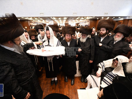 נחמו עמי: פרייליכע שמחת ברית מילה בחצר הקודש בעלזא