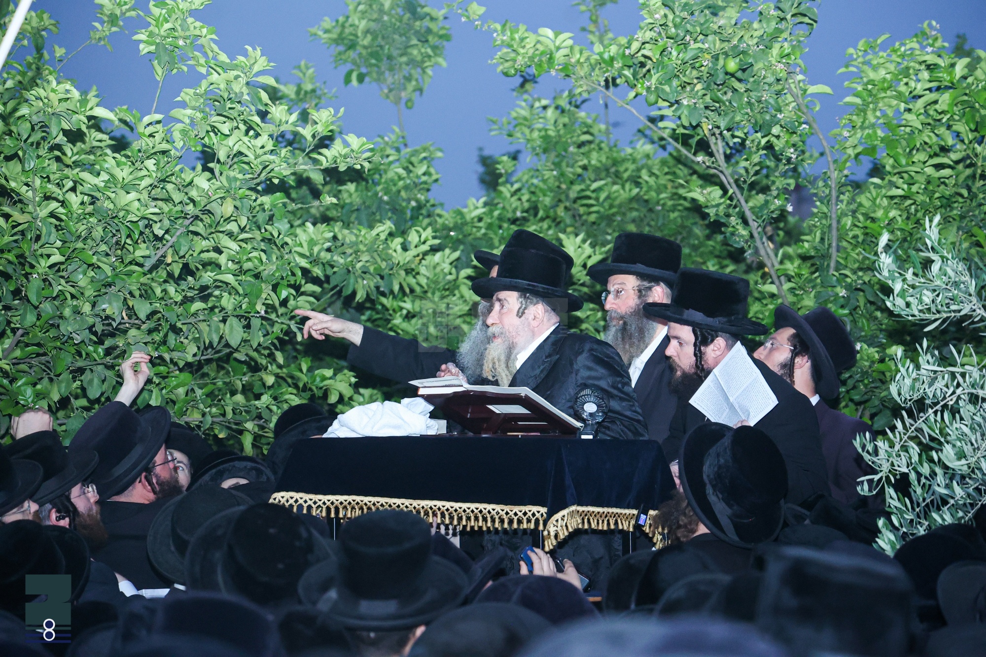Blog Image