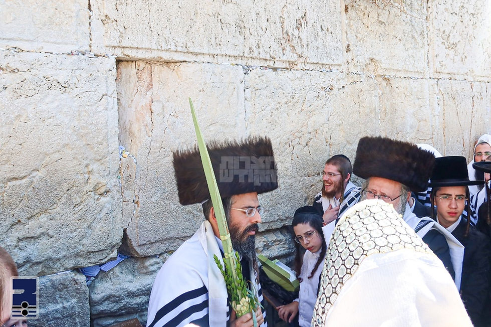 ושם נעלה ונראה: סוכות בחצר הקודש זוועהיל