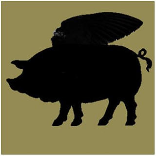 Writer: Lisa Brilliant Things