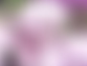 Are you sure those aren't real?