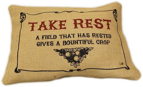 take rest quote cushion