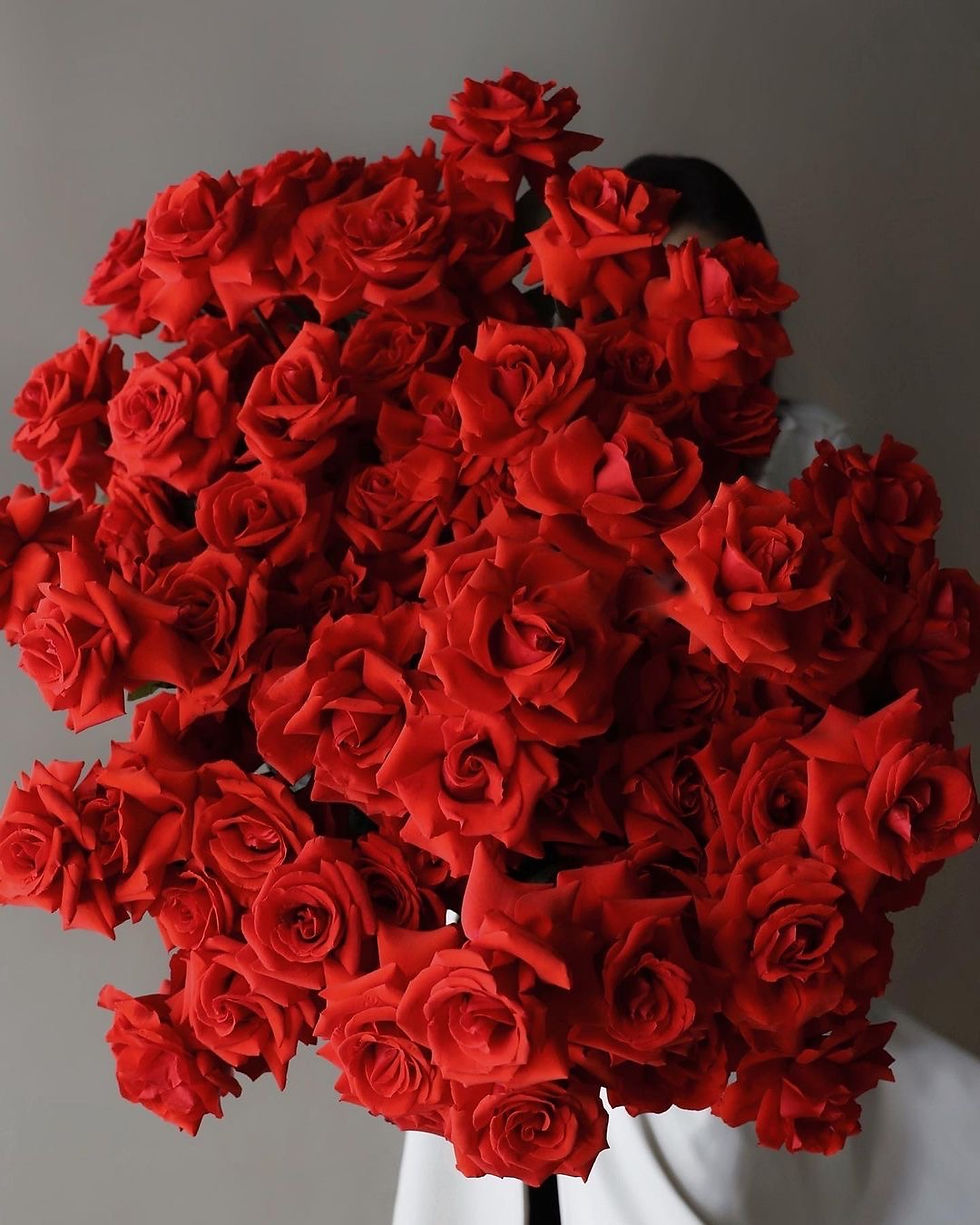 Luxury red roses