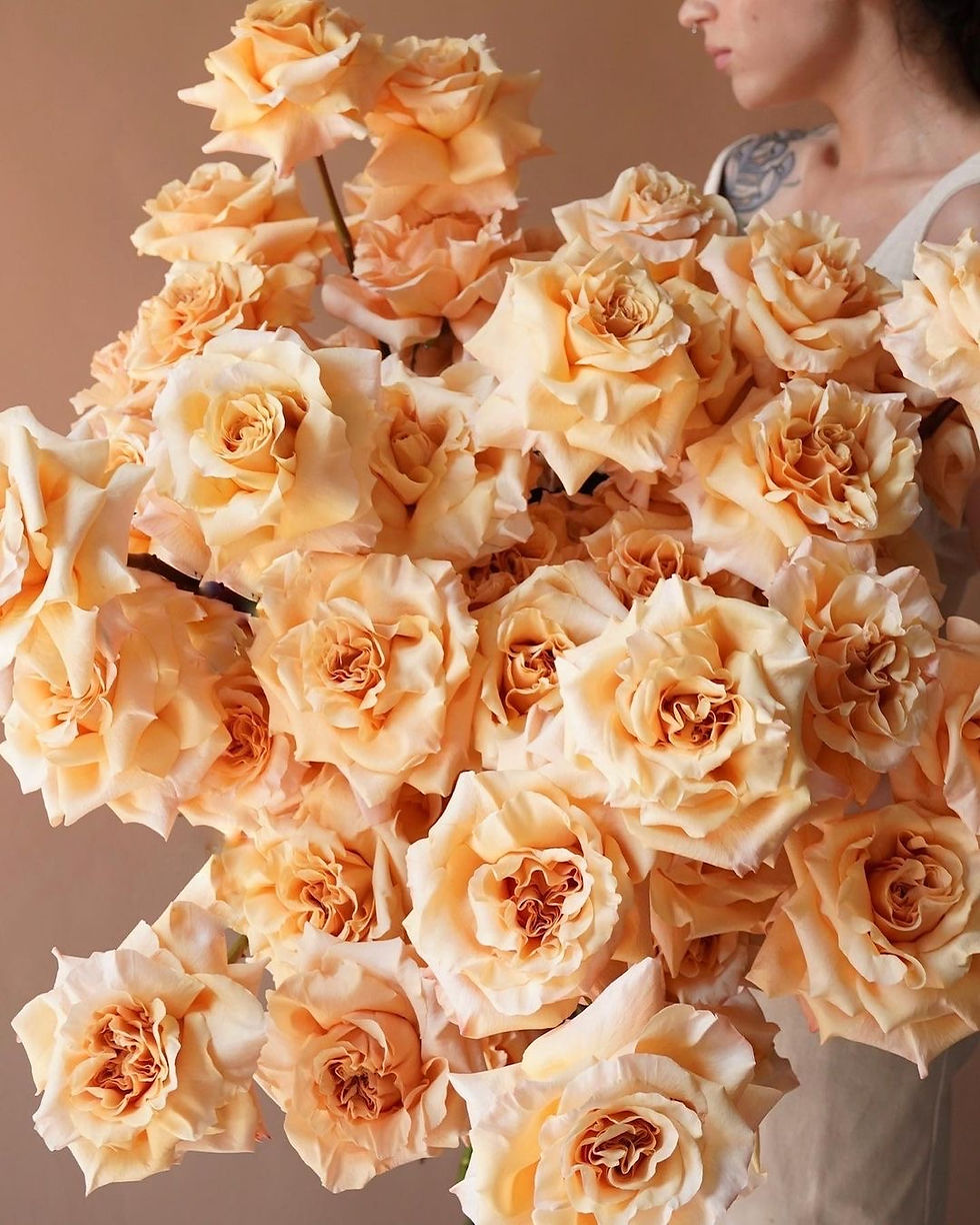 Luxury yellow roses