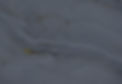 1678831206-banner-txt-bgd.jpg