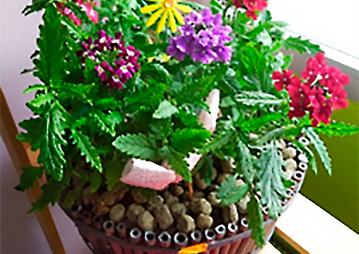 www.floristeriamadreselva.es