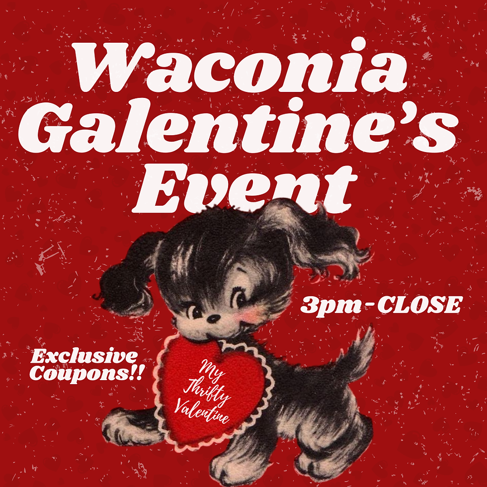 Waconia Galentine's Day Event