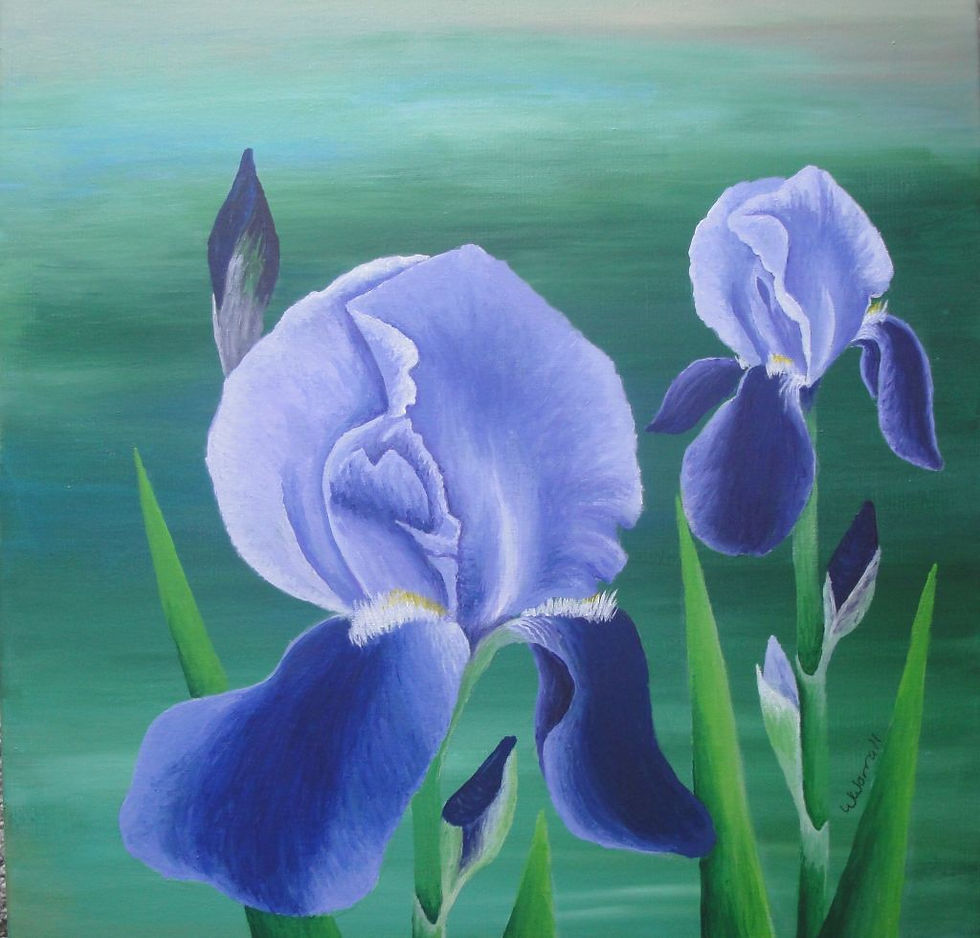 A Stately Iris - Wendy Worrall