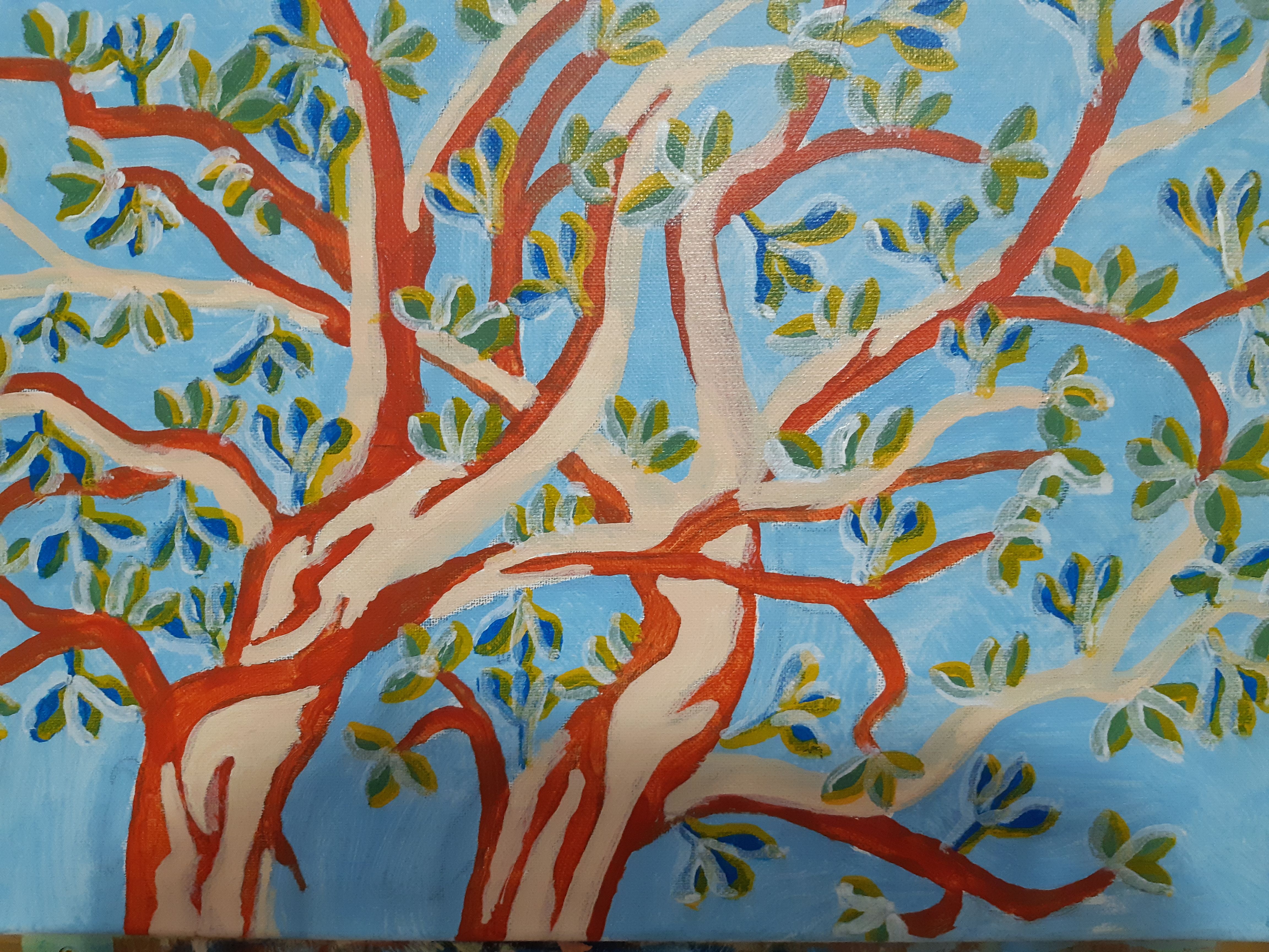 Arbutus Trees in Leaf
