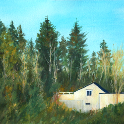 Looking Out My Window