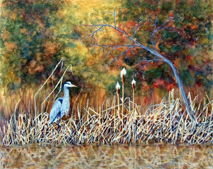 Tranquil Fall