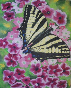 A Sensational Swallowtail - Wendy Worrall