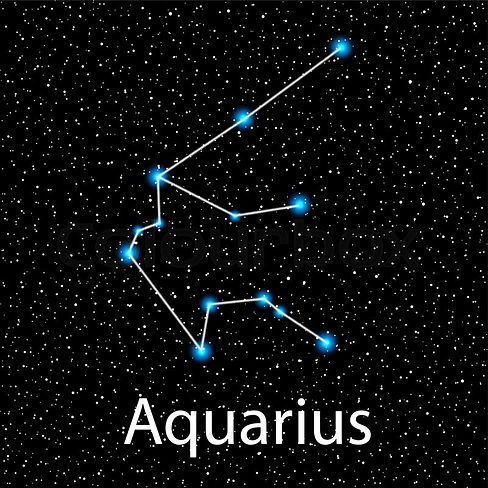 acuario-1.jpg