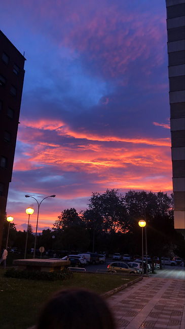 4D169D5B-FDC6-4A4D-B31B-B8374C56C46D.JPG