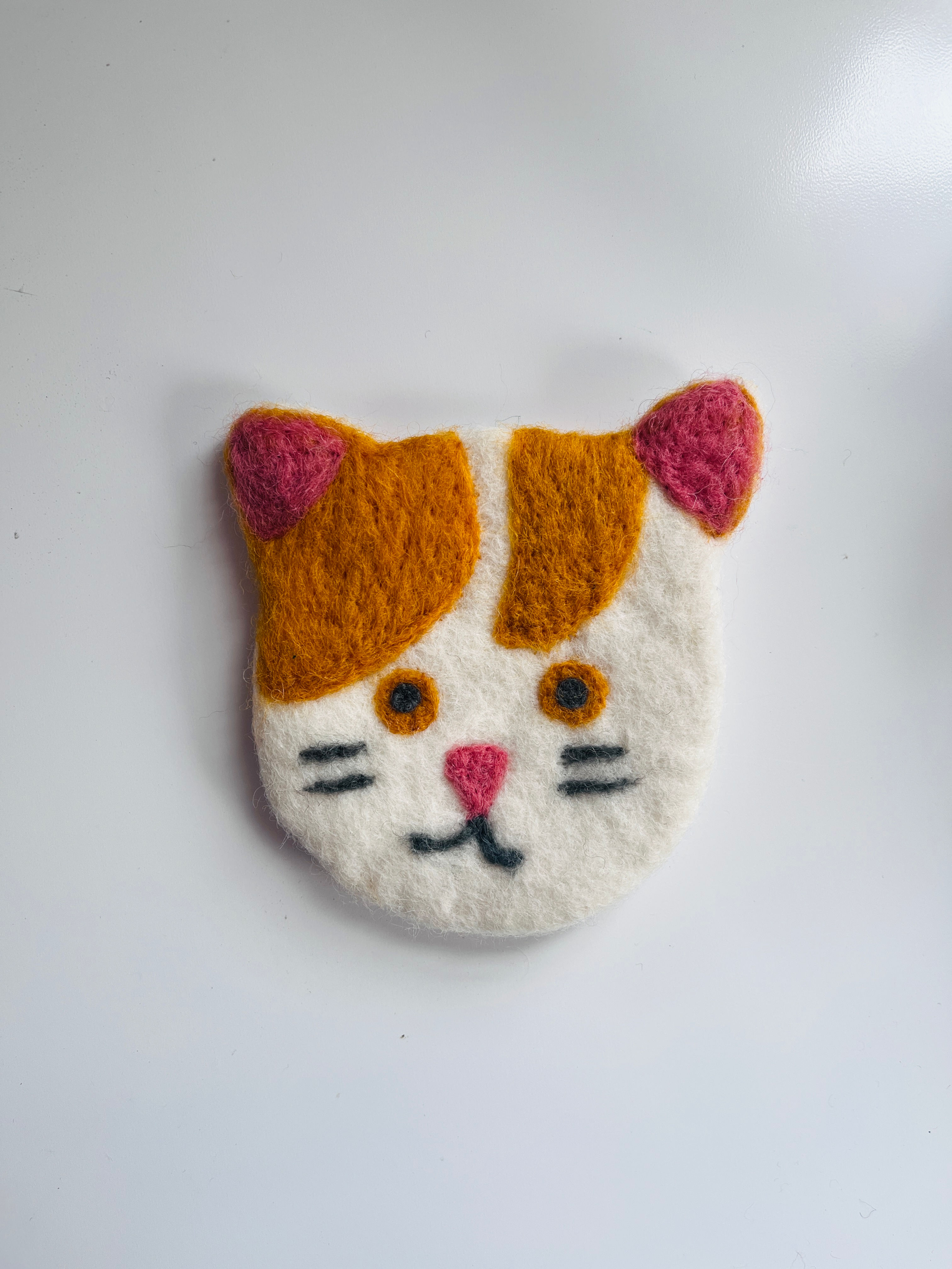 Cat Coaster - Tabby Cat