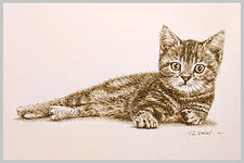 Pen Art 鋼筆畫