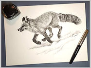 Pen Art 鋼筆畫