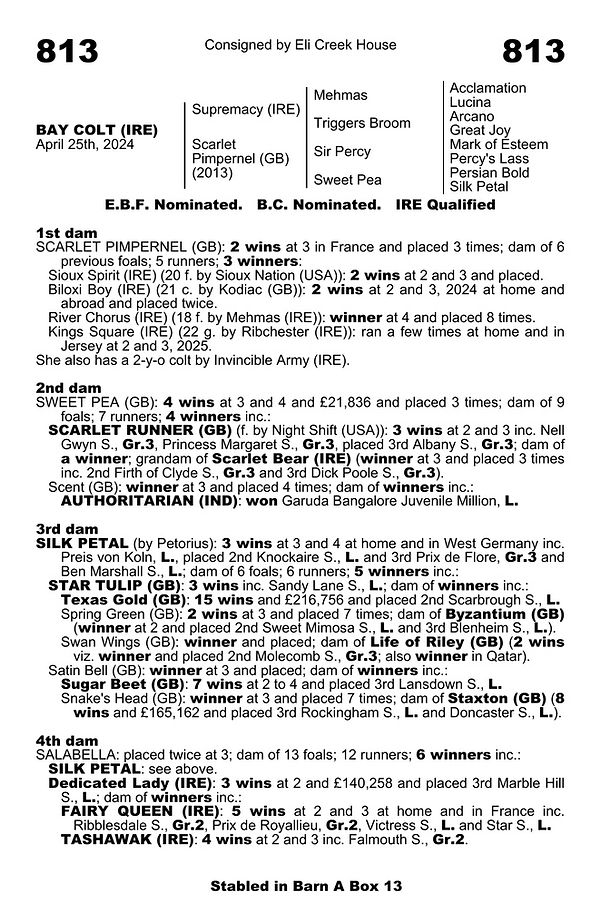 Supremacy X Scarlet Pimpernel.jpeg