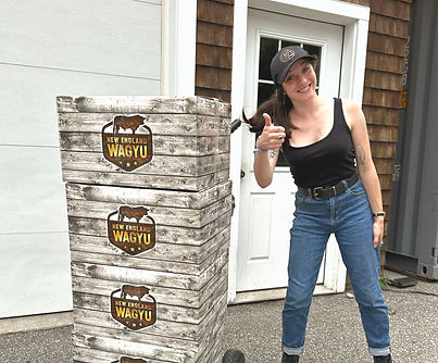 484181522_646230205032921_83418384330279