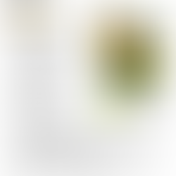 Stuffed Bell Peppers