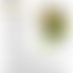 Stuffed Bell Peppers