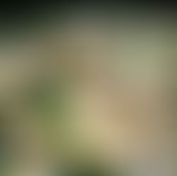 Herb Roasted Potatoes + Zucchini