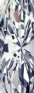 Screenshot 2024-06-12 172952.png