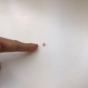 現状打破！！才能、努力、そして環境の重要性