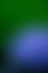 梅雨の時期だからこそ