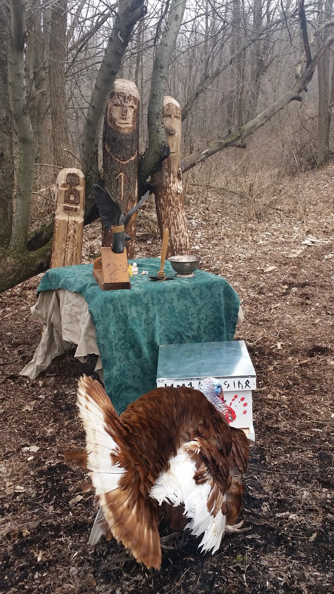 Blessing of the Hive