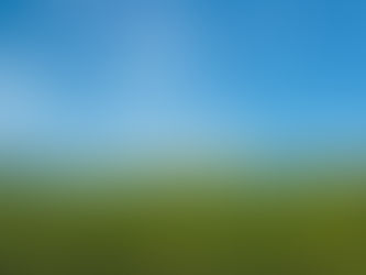 Lot Setbacks & Restrictions - What to Consider When Buying Land for Your Next Home.