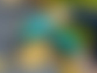 Winterizing Your Home