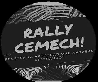 IFMSA RALLY.jpg