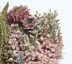 wedding planner organisation décoration mariage haute-savoie