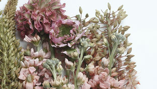 Fiori